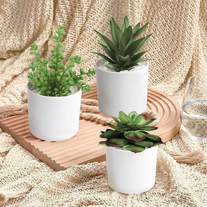 Hopewood Succulent Plants Artificial in White Pots Small Faux Potted Succulents Fake Plants in Vase Set of 3