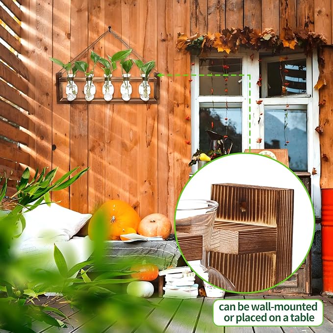 Plant Terrarium Propagation Stations Halloween Skull Planter Vase Skulls Decor with Wooden Stand Gife for Father - 5 Vases