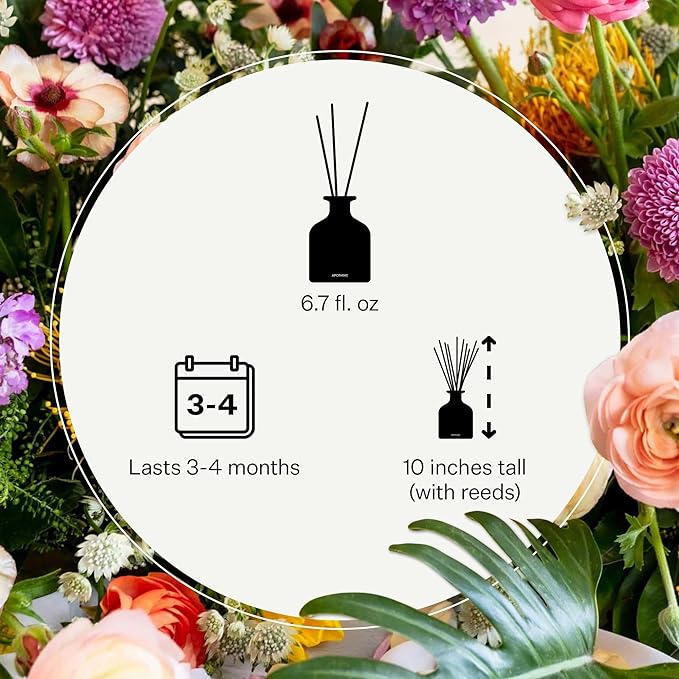 Apotheke Luxury Scented Reed Diffuser for Home, White Vetiver - 6.7 Fl Oz Essential Oil Aromatherapy - 10 Rattan Scent Sticks Room Diffuser - Long-Lasting Fragrance for Bedroom, Home, Bathroom