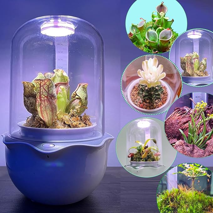 Smart Venus Fly Trap Terrarium Pot with Timer&Fan, Carnivorous Plant Pot with Grow Light, Plant Terrarium Kit for Butterwort, Christmas Birthday Gifts for Women Garden Lover (No Plant)