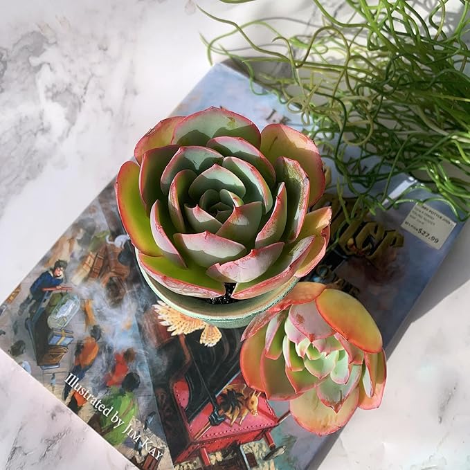 Echeveria Neon Glow Rare Live Succulent Plants, 1 Head 3.5" Bare Root Without Pot & Soil, Garden Indoor Office Desk Baby Shower Decoration, Friend Plant Lovers Gifts