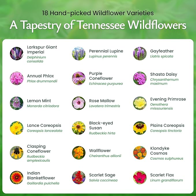 Created By Nature Tennessee Wildflower Seed Mix, 18 Flower Varieties, 35,000 Seeds