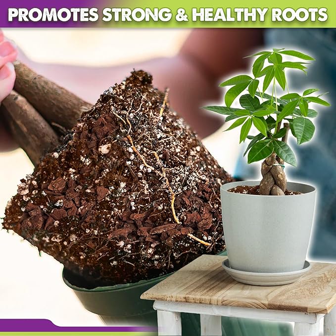 DUSPRO Recycle Money Tree Soil Indoor, Premium Coco Coir Perlite Mix and Pine Bark for Money Tree, Ideal Money Tree Soil for Healthy Growth and Nourishment (6 Quarts)