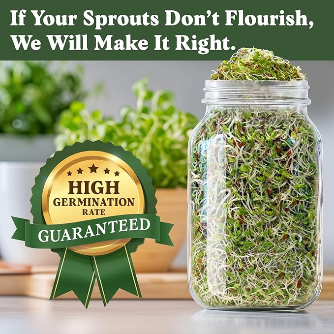 Seedboy Organic Sprouting Seeds - Immune System Booster Blend - Non-GMO, USA Grown - Broccoli, Purple Radish, Alfalfa - Makes 8 Quarts of Sprouts, 24 Servings (8 oz) (Immune System Booster Blend)