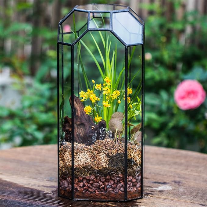 NCYP Open Glass Geometric Terrarium for Plant, Succulent, Cacti - 5.5"x5.5"x12.8" Indoor Tall Octagon Glass Planter, Home Garden Office Vintage Decoration, Micro Landscape (Terrarium Only)