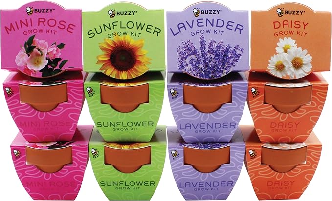BUZZY Seeds Terracotta Mini Grow Pots | Flower Starter Kit for Kids & Adults | Assorted 12-Pack, Bright Series Collection, Daisy, Lavender, Mini Rose, Sunflower | Gardening Gift, Party Favors