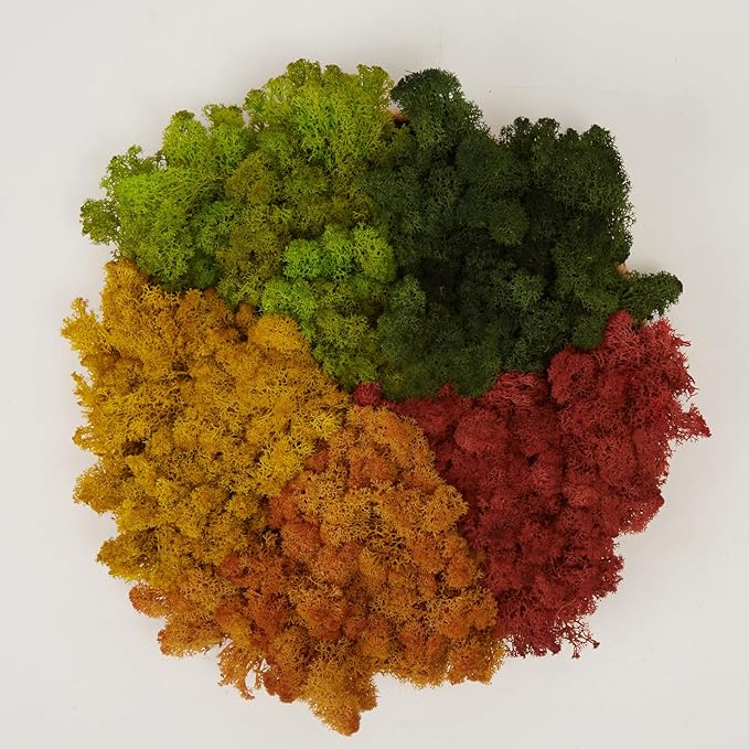 Preserved Reindeer Moss Natural Green DIY Kit Gardenning Art Wall Decor Florist Decor Easter Table Decor Wedding