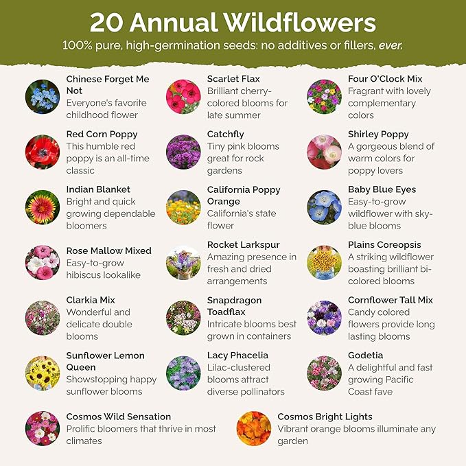 Eden Brothers All Annual Wildflower Mixed Seeds for Planting, 25 lb, 12,00,000+ Seeds with Sunflower, Indian Blanket, Scarlet Flax, Attracts Pollinators, Plant in Spring, Zones 3, 4, 5, 6, 7, 8, 9, 10