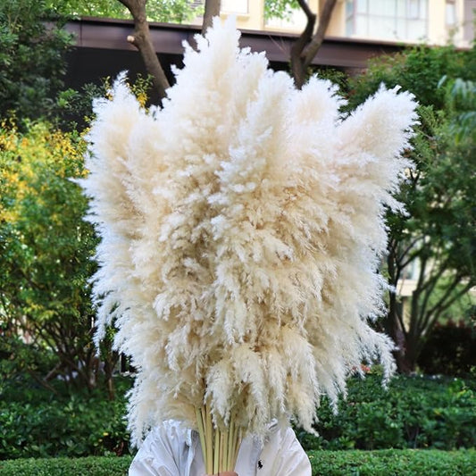 46inch 12pcs Dried Pampas Grass Decor Tall-Large Beige Pompas Grass Floral-Natural Tall Fluffy Pampas Grass Flower for FloorVase,Wedding,Party,Living Room Floor,BohoHome Decor