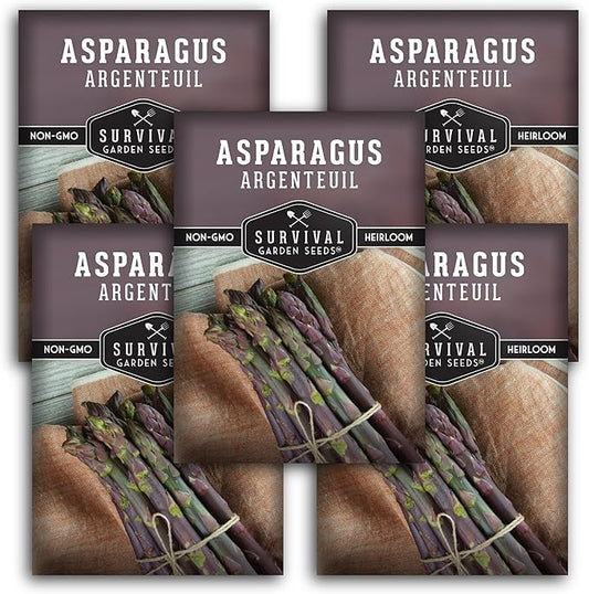 5 Packs Argenteuil Purple Asparagus Seeds for Planting with Instructions to Grow Gourmet French Asparagus in Your Home Vegetable Garden - Non-GMO Heirloom - Survival Garden Seeds