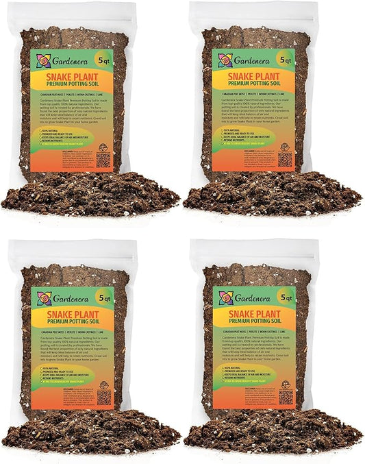 Premium Snake Plant Potting Soil Mix - 10 Quart - Green Sansevieria Trifascatia Zeylanica Plants, Plant or Re-Pot Your Snake Plant (2 Bags of 5 Quart)