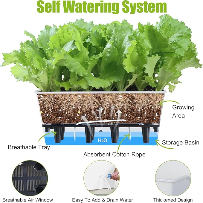 Window Box Planter 6 Pcs, 16.5 Inches Self Watering Rectangle Flower Plant Pots with Drainage Holes Trays, Vegetable Planters for Windowsill Patio Garden Balcony Porch Yard (White)