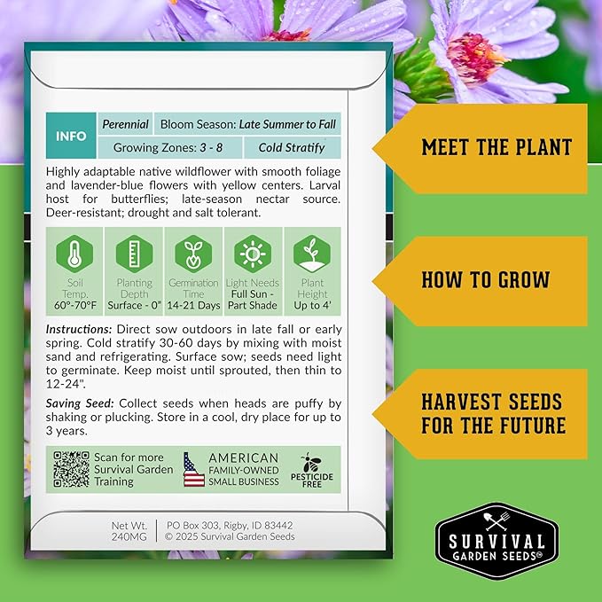 Survival Garden Seeds - Smooth Blue Aster Seeds for Planting | Symphyotrichum laeve | North American Native Wildflower | 1 Pack