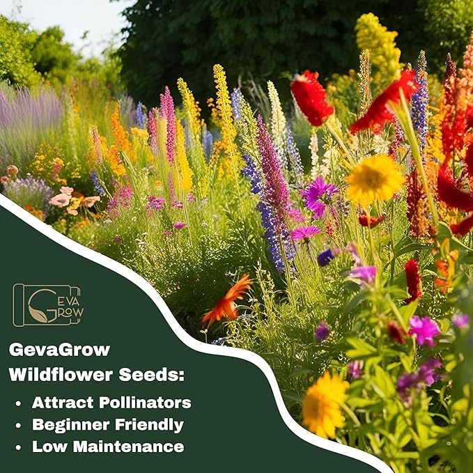 Bird & Butterfly Wildflower Seeds – 1oz Packet (15,000+ Seeds, Covers 100 Sq Ft) | 18 Flower Varieties, Annual & Perennial | Organic, Non-GMO | Garden & Potting Mix for Pollinators & Wildlife