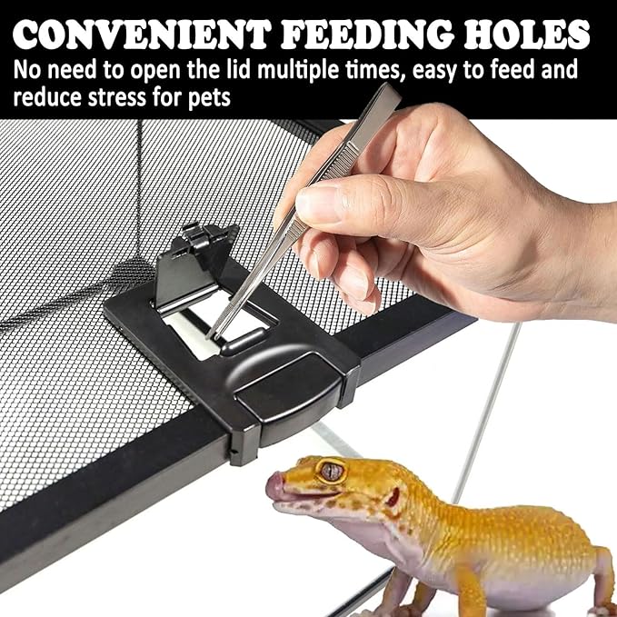 BNOSDM Reptile Tank,8" x 8" x 6" Mini Reptiles Terrarium,Full View Young Lizard Glass Tank,Small Amphibians Habitat Enclosure Cage for Tarantula,Frog,Hermit Crab,Isopods,Insects Breeding Box