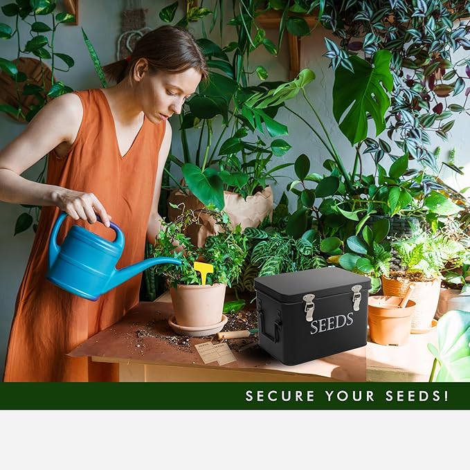 Garden Seed Storage Box with Dividers Seeds Packet Organizer Case for Gardening 3 Inner Slot Bird Plant or Vegetable Seed Container Saver Tin – Black Galvanized Metal with Envelopes & Labels