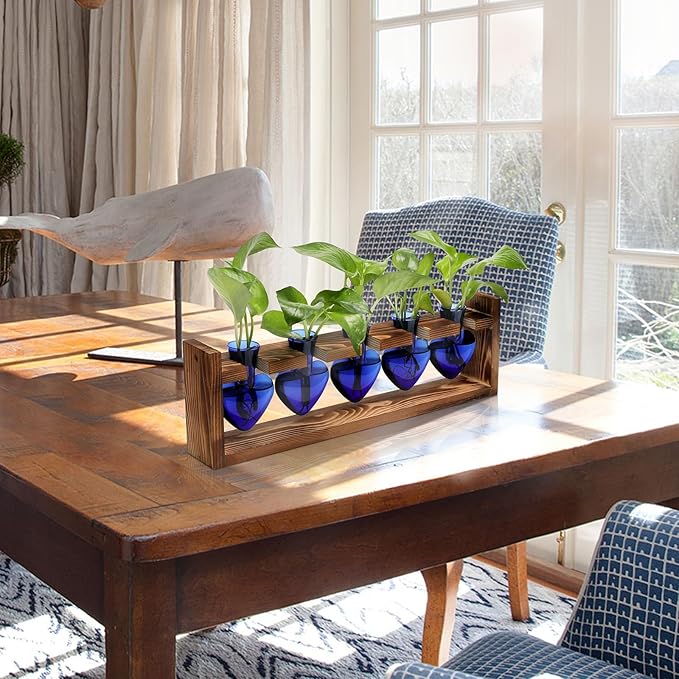 Plant Terrarium Hanging Propagation Stations Gift for Women Plant Lover air Plant Holder with Wooden Stand Heart Glass