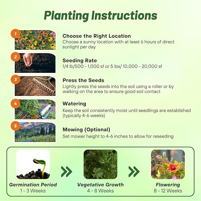 Outsidepride Mountain Wild Flower Seed Mix - 1 lb Premium Blend of Annual & Perennial Wildflower Seeds for High-Elevation in USDA Zones 3-8, Ideal for Mountain Gardens, Low-Maintenance & Easy to Grow