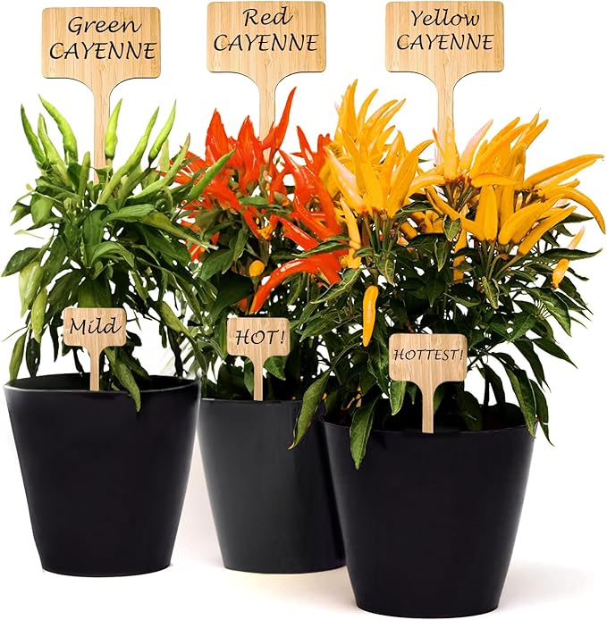 25 Pack 2 Sizes Tall Plant Labels Garden Markers Plant Name Tags for Flowers, Herbs, Vegatables, Seeds, Bulbs Larger Writing Area with Full Size Marker