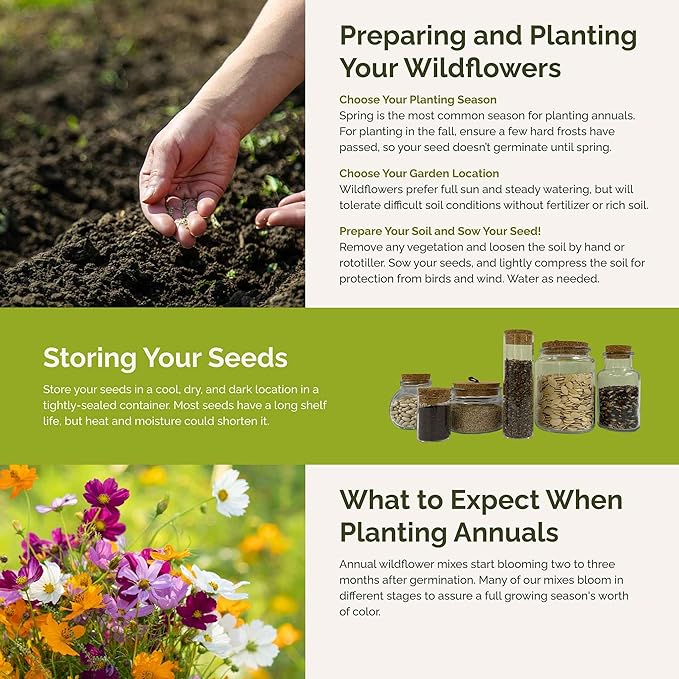 Eden Brothers All Annual Wildflower Mixed Seeds for Planting, 25 lb, 12,00,000+ Seeds with Sunflower, Indian Blanket, Scarlet Flax, Attracts Pollinators, Plant in Spring, Zones 3, 4, 5, 6, 7, 8, 9, 10