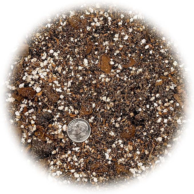 Fiddle Leaf Fig House Plant Soil Premium All Purpose Blend - Peat Moss, New Zealand Bark, Coco Chips and Fibers, Perlite - 5 Quart Bag