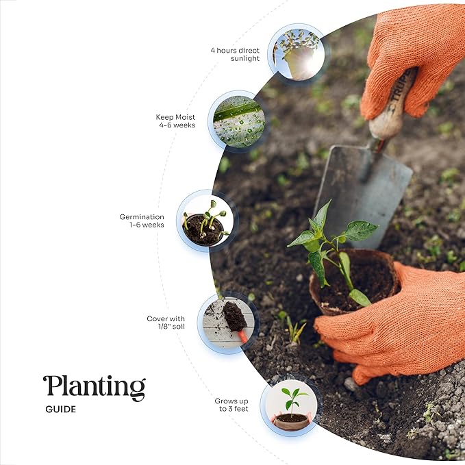 Plantable Onesie Seed Paper – 15 Blue Baby Shower Favors for Guests with Wildflower Seeds, Baby Shower Gifts for Guest