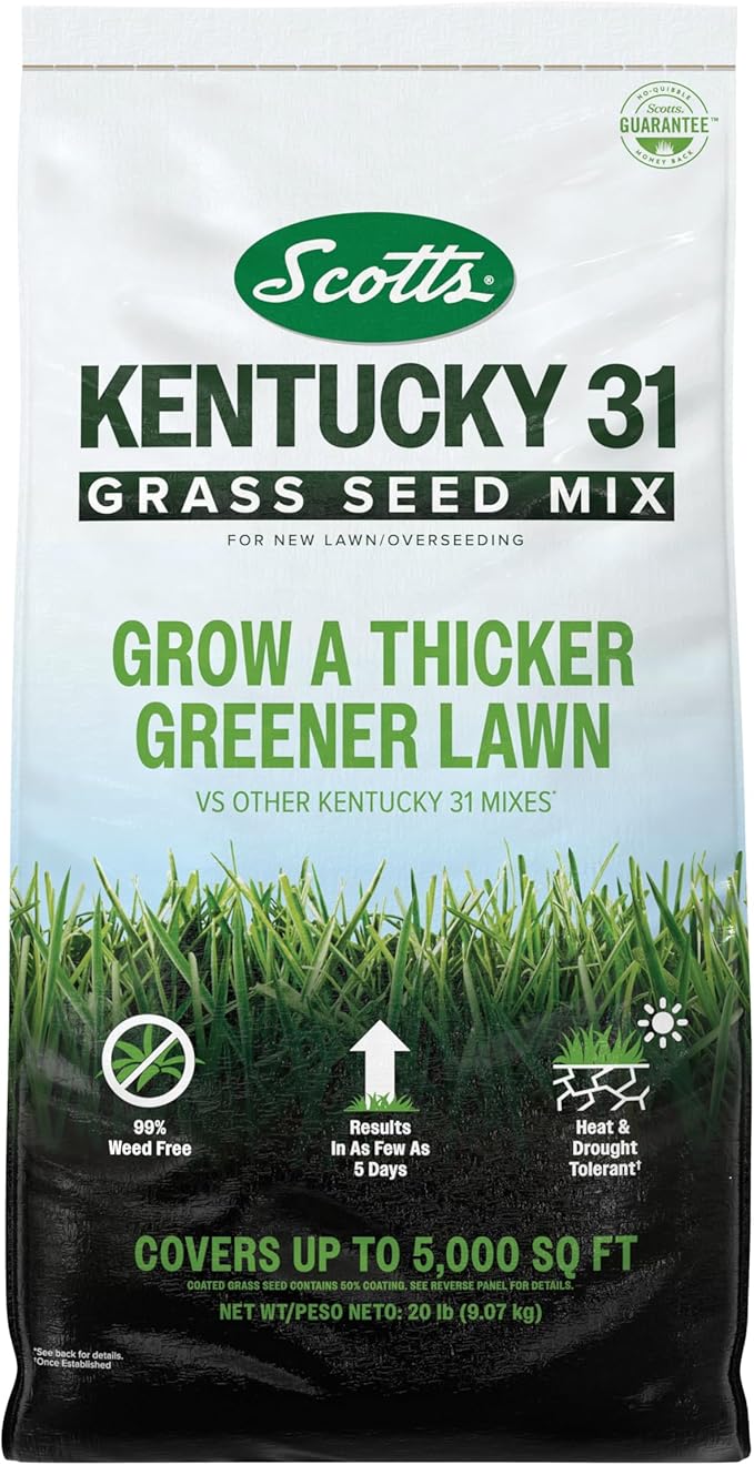 Scotts Kentucky 31 Grass Seed Mix for New Lawns or Overseeding, Grows Thicker and Greener vs. Other Kentucky 31 Mixes, Covers up to 5,000 sq. ft.