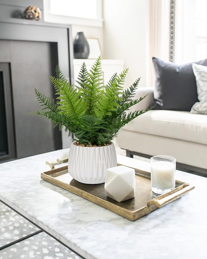 DILATATA Faux Plant Indoor in Ceramic Pot 13" Artificial Potted Fern Fake House Plants for Desk Office Bathroom Garden Decoration