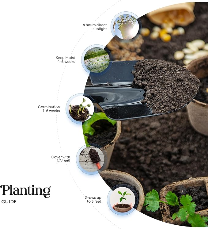 Plantable Onesie Seed Paper – 15 Pink Baby Shower Favors for Guests with Wildflower Seeds, Baby Shower Gifts for Guest