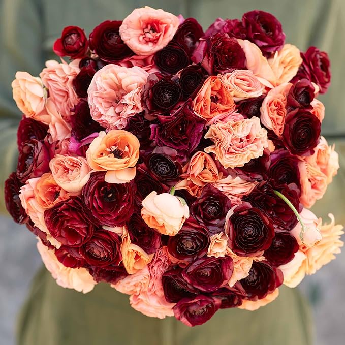 Eden Brothers Ranunculus Bulbs - Princess Bride Mix