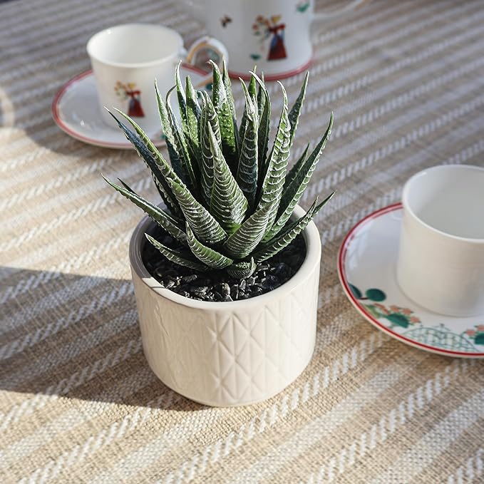 Artificial Succulent in Pot, 6.7'' Small Potted Fake Succulents Realistic Potted Plant for Home Office Desk Bathroom Boho Decoration Faux Mini Aloe Greenery for Shelf Aesthetic Decor Table Accessories