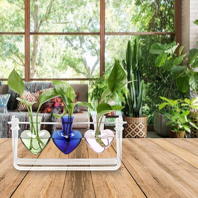 Clear Plant Terrarium Propagation Stations with Acrylic Stand Birthday Gifts for Women Office Home Decor