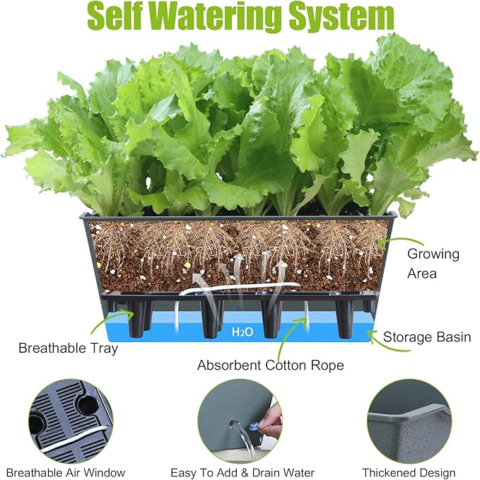 Window Box Planter 6 Pcs, 16.5 Inches Self Watering Rectangle Flower Plant Pots with Drainage Holes Trays, Vegetable Planters for Windowsill Patio Garden Balcony Porch Yard (Dark Green)