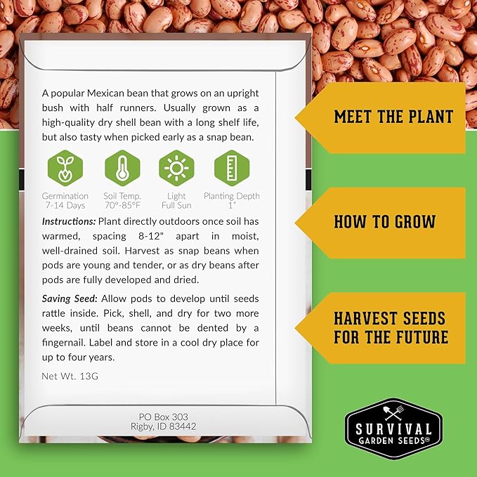Pinto Bean Seeds for Planting - 1 Packet with Instructions for Growing Mottled/Peruano Beans in The Home Vegetable Garden - Non-GMO Open-Pollinated Heirloom & Untreated - Survival Garden Seeds