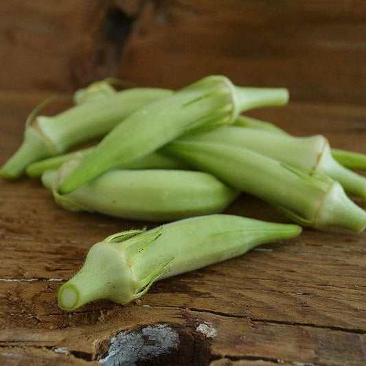 Blondy Dwarf Okra - 100 Seeds - Heirloom & Open-Pollinated Variety, Easy-to-Grow, Non-GMO Vegetable Seeds for Planting Outdoors in The Home Garden, Thresh Seed Company