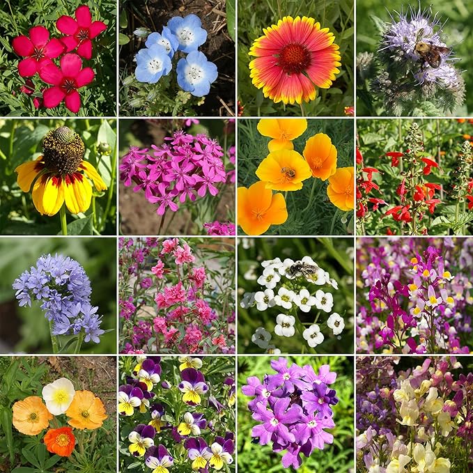 Ferry-Morse Cool Season Mix Bulk Wildflower Seeds, 1lb