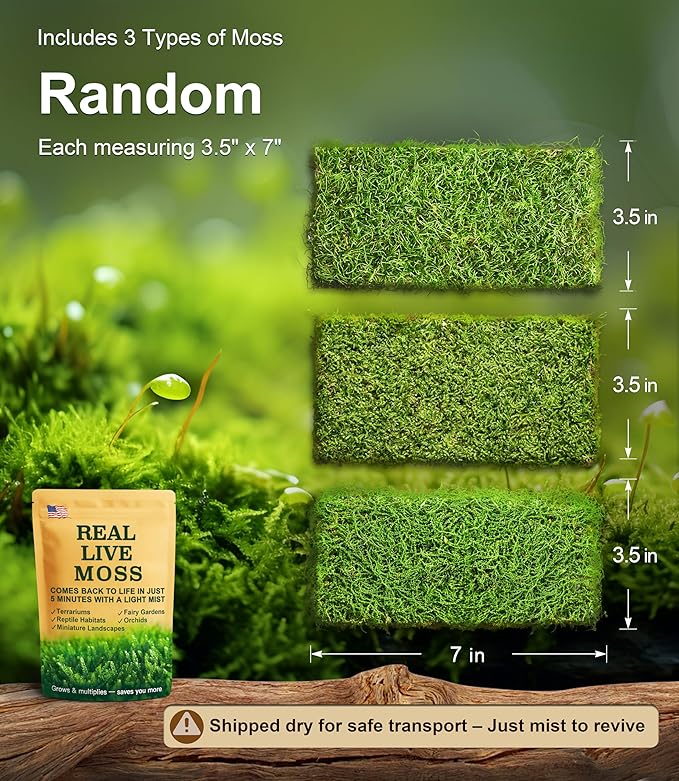 Live Moss Variety Pack – 3 Real Moss Types (Each 3.5"x7"), Decorative Moss for Terrariums, Bonsai, Fairy Gardens, and Plant Craft Projects – Reusable, Naturally Grown, Not Artificial