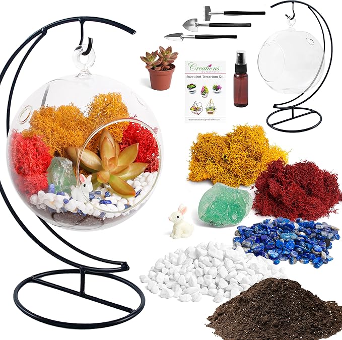 5" Glass Globe Succulent Terrarium Kit, Hanging DIY Starter Kit for Kids and Adult, Metal Stand, Reindeer Moss, Crystal & Rocks, Tools, Figurine (Live Plant Included)