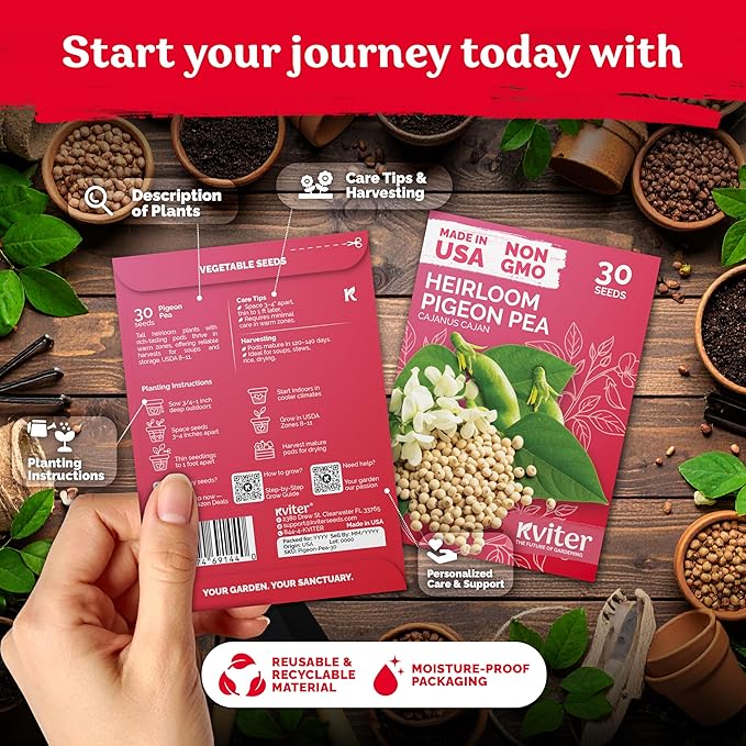 KVITER 30 Guandules Pigeon Peas Seeds for Planting (Cajanus Cajan) – a.k.a Gandules Goya, Gungo Peas, Congo Pea Non GMO & Organic – Heirloom Vegetable Seeds to Plant in Outdoor Garden & Trellises