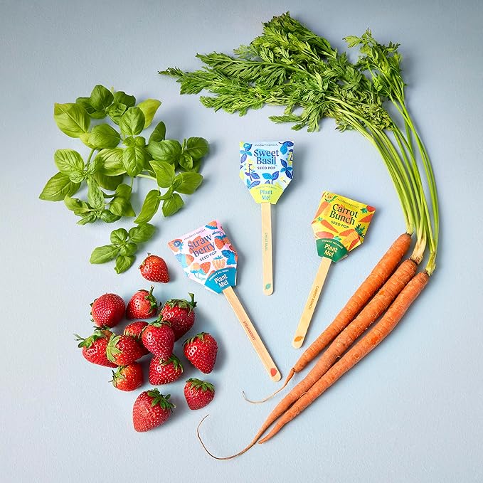 Modern Sprout Seed Pops - Organic Non-GMO Carrot, Strawberry & Basil Seeds for Planting - Fun Family Activity - Ideal for Indoor & Outdoor - Playful Gift for Kids, Adults and Plant Lovers (Pack of 12)