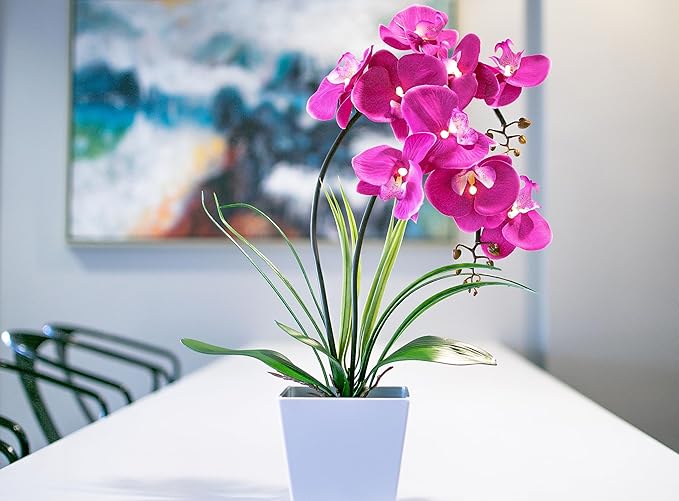 HOMESEASONS Orchid Lamp-LED Lighted Orchid Arrangements,Pre Lit Artificial Orchid,Light Up Flower Lights, Faux Orchid Phalaenopsis Arrangement (Purple)