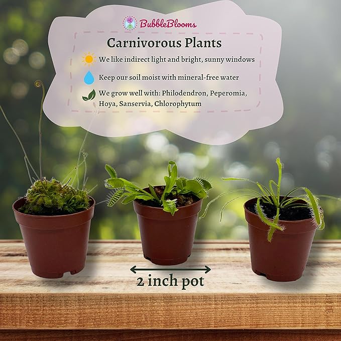 BubbleBlooms Carnivorous Plant Assortment Set, 5 Live Different Plants in 2 inch Pots