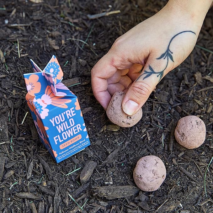 Modern Sprout Seed Bombs - Organic Wildflower & Herbs Seeds for Indoor/Outdoor Gardening - Party Favors and Eco-Friendly Gift for Plant Lovers - Includes 12 Hand-Rolled Seed Balls - Made in The USA