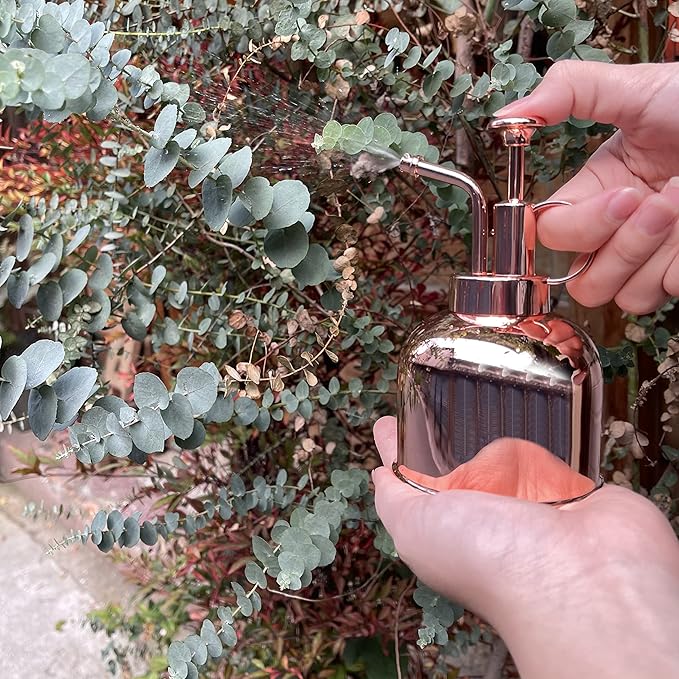 Stainless Steel Plant Mister Spray Bottle Watering Can for Indoor Plants Succulent Bonsai Garden Spray Houseplant Spritzer Modern Garden Tools 10oz/300ml (ROSE GOLD)
