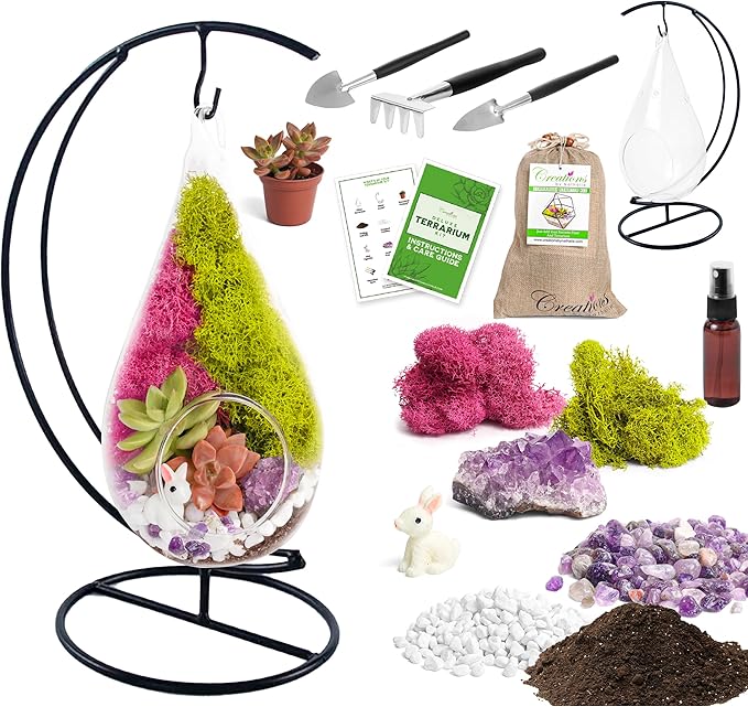 7" DIY Teardrop Terrarium Kit with Live Plants - Hanging Glass Planter with Stand for Adults & Kids - Build a Mini Ecosystem with Moss, Crystals, Tools - Made in The USA