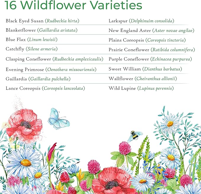 Created By Nature Kansas Wildflower Seed Mix, 16 Flower Varieties, 40,000 Seeds