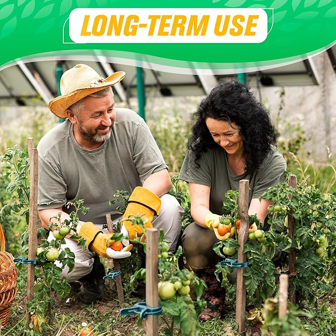 Tomato Clips for Garden - 60 Pcs 2 Sizes Plastic Tomato Plant Clips for Support & Upright Growth, Reusable & Adjustable, Gentle & Reliable Fixation, Easy to Use - for Stems, Flowers, Vines, Vegetables