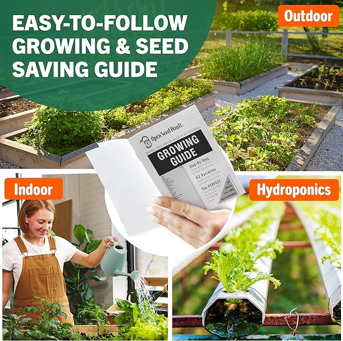 Open Seed Vault 15,000 Non GMO Heirloom Vegetable Seeds for Planting Vegetables and Fruits - 32 Variety Pack of Vegetable Seeds for Gardening, Survival Gear, Seed Vault Emergency Supplies Kit