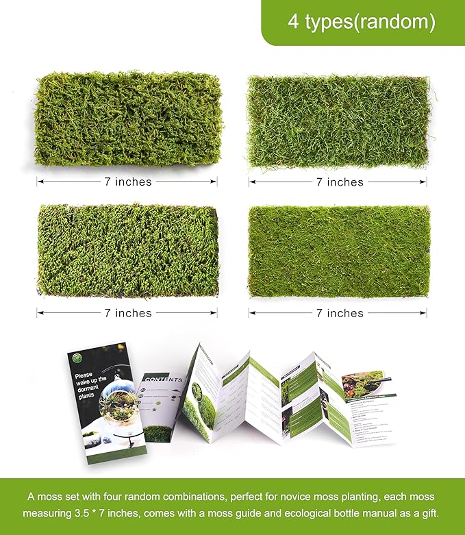 Real Live Moss – 4 Types Live Moss for Terrariums, Fairy Gardens, Reptile Habitats & Mini Landscapes | Revives in 5 Minutes with Water Mist, Soft Green Texture, Easy to Grow (4-Pack, 3.5”x7”)