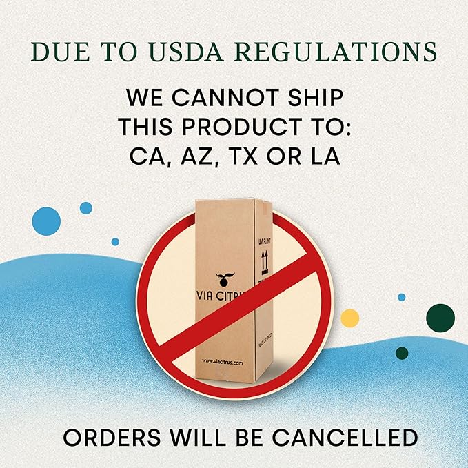 Orange Jasmine Plant Live, Delightful Live Plants Outdoor, Highly Fragrant Real Plants Outdoor, Jasmine Flower Plant, Aromatic Indoor Tree No Shipping to CA, AZ,TX,LA by Via Citrus